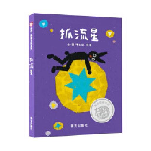 图画书奖系列 抓流星